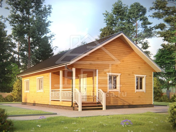 Дом из бруса 12х8